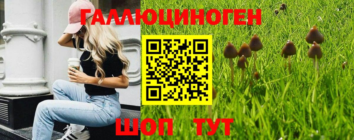 КОКАИН  Alpha PVP СОЛЬ кристаллы  МАРИХУАНА  Метамфетамин  Гашиш  Вход с VPN  Красногорск  МЕФ  