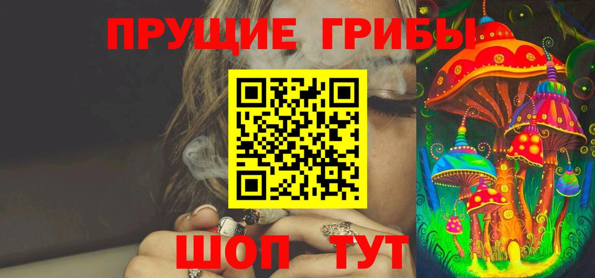 Галлюциногенные грибы Psilocybine cubensis  Галлюциногенные грибы мицелий  Красногорск  Вход с VPN 